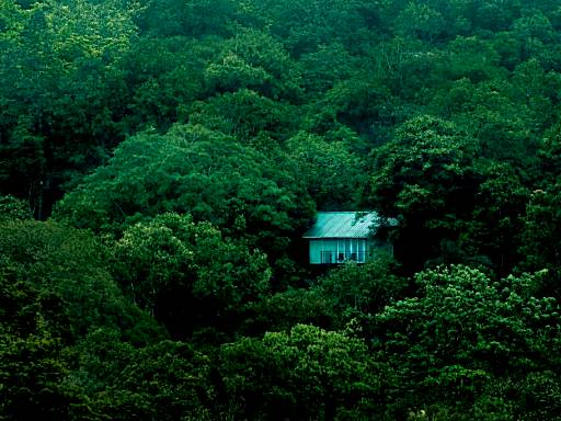 Wayanad Wild - Rainforest Lodge by CGH Earth
