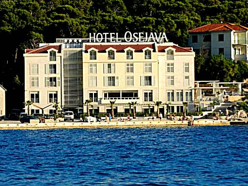 Hotel Osejava