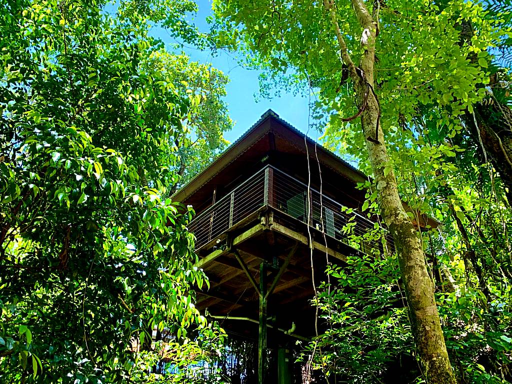 Cairns Rainforest Retreat