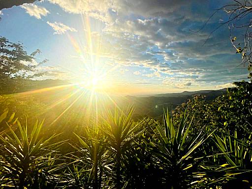 El Sol Monteverde