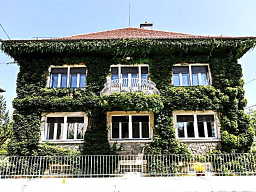 Luxury Apartment Villa Černigoj