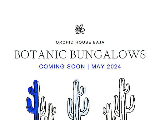 Orchid House Baja