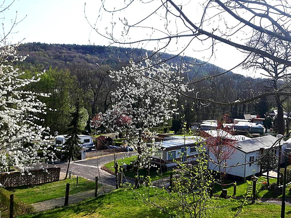 Camping Officiel Wollefsschlucht Echternach